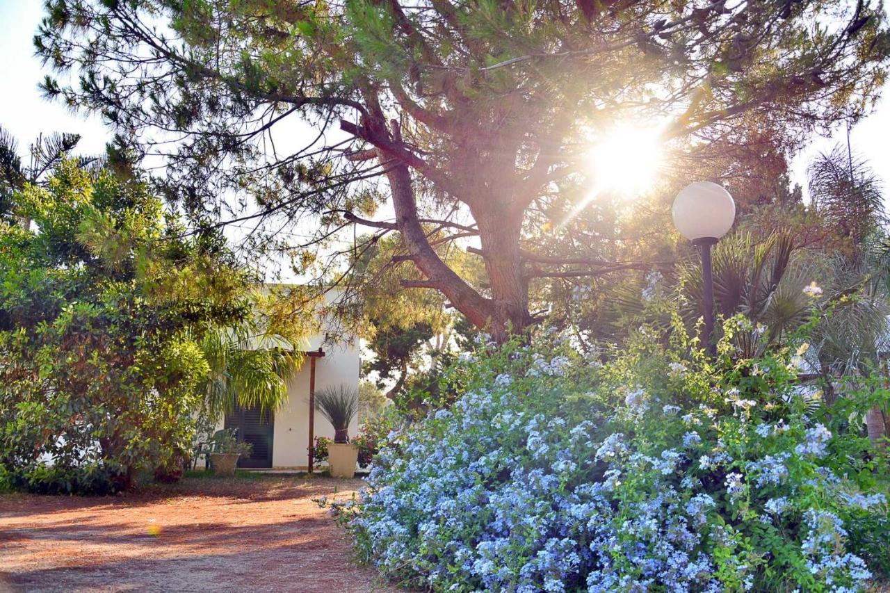 Masseria Lama Торе дел'Орсо Екстериор снимка